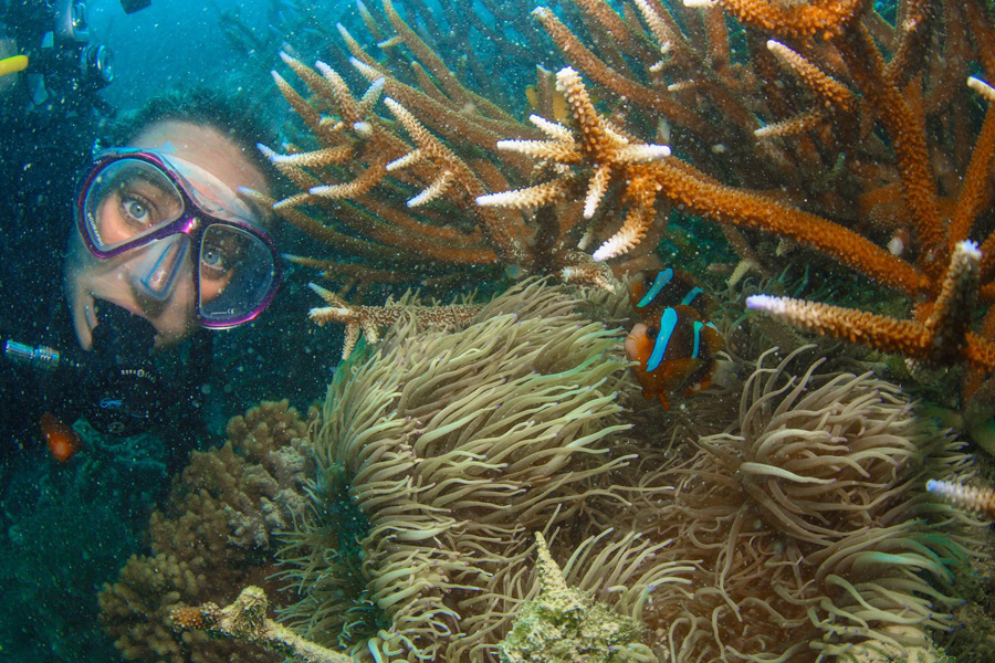 Sailing Whitsundays Hero Image For Coral bleaching affected by Cyclone Debbie