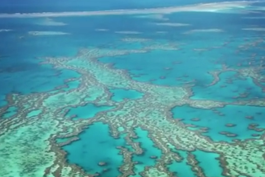 Sailing Whitsundays Hero Image For The State of the Great Barrier Reef after Cyclone Debbie