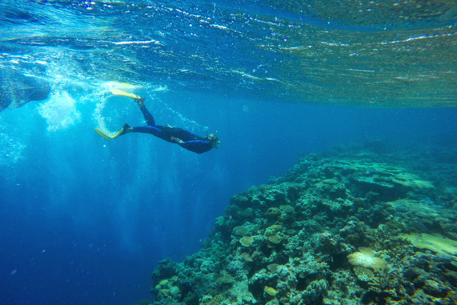 Sailing Whitsundays Hero Image For Great Barrier Reef Tours