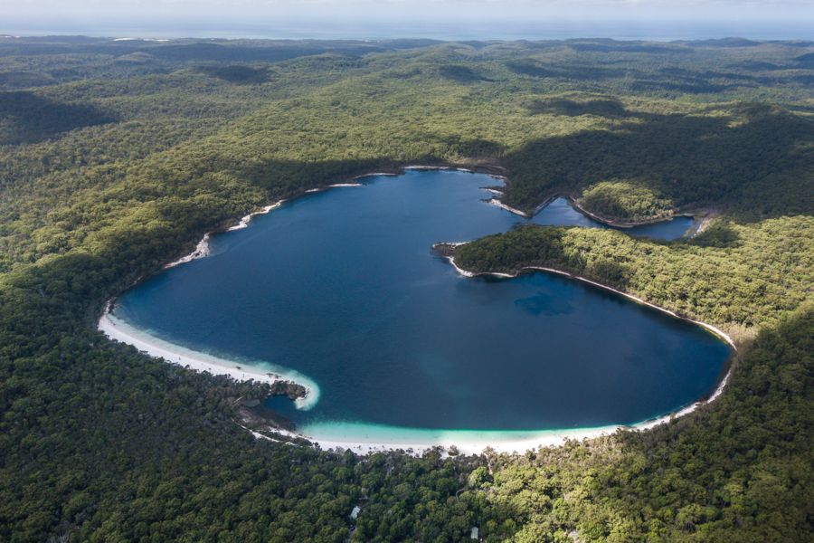 Aerial view of Lake Mckenzie forests and lake From Above