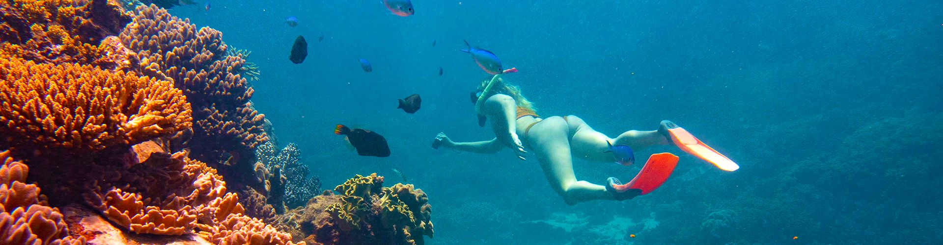 Sail & Stay Packages: Airlie Beach & Whitsunday Holiday Packages - Sailing Whitsunday Image