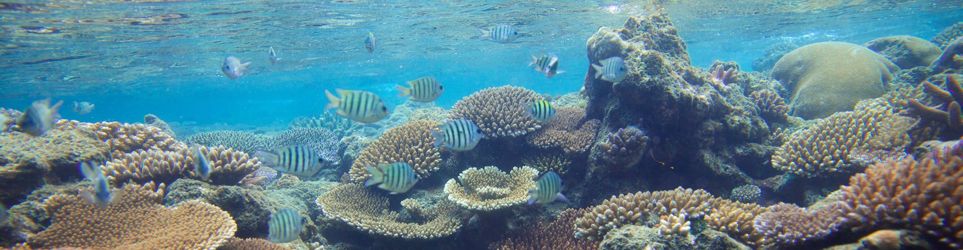 Private Day Activities: Private Day Activities - Sailing Whitsunday Image