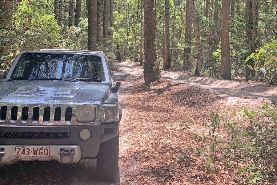 Low Number Fraser Island Day Tours: Low Number Fraser Island Day Tours - Fraser Tours Image