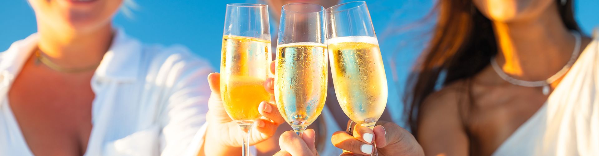 Day Charters From Hamilton Isl: Whitsunday Private Charters - Sailing Whitsunday Image