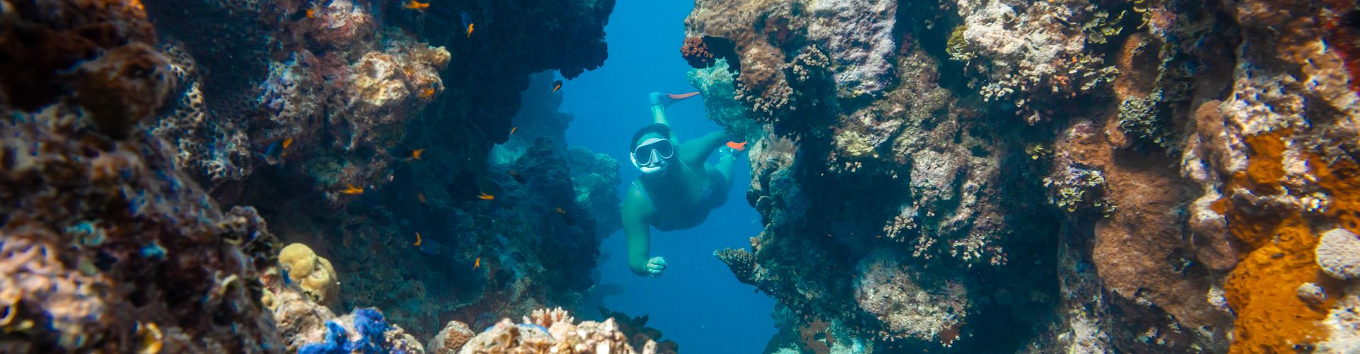 Last Minute Overnight Tours: Whitsunday Overnight Trips With Availability - Sailing Whitsunday Image