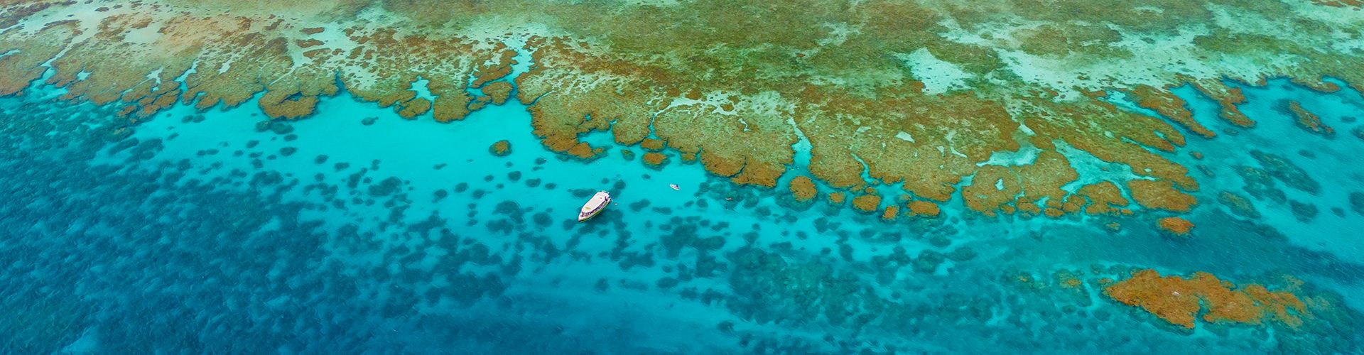 Reef Day Tours: Whitsundays & Outer Great Barrier Reef Trips - Sailing Whitsunday Image