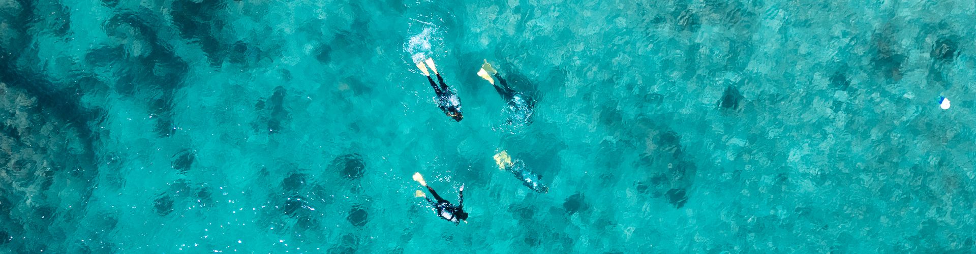 Diving Day Tours: Whitsunday Day Trips With Scuba Diving - Sailing Whitsunday Image
