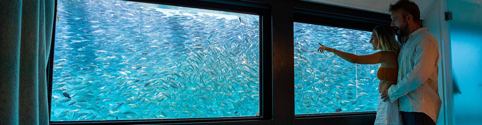 Unique: Accommodation In The Whitsundays - Sailing Whitsunday Image