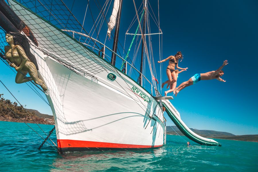 New Horizon New Horizon