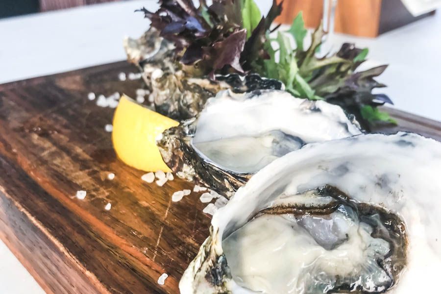 oysters, whitsundays