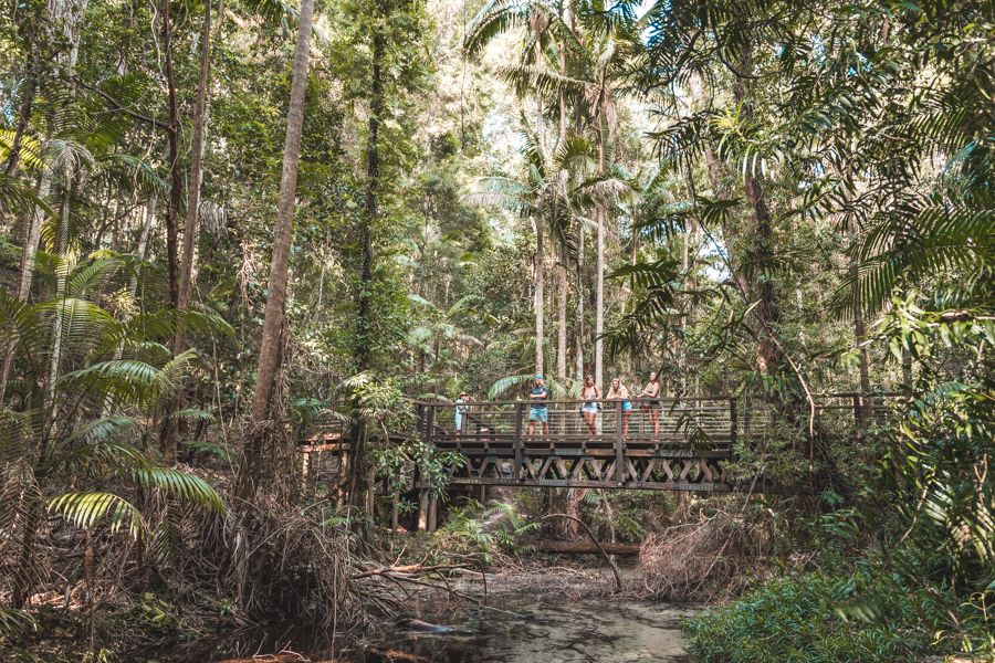 Rainforest K'gari travellers gathered on a bridge at Central Station