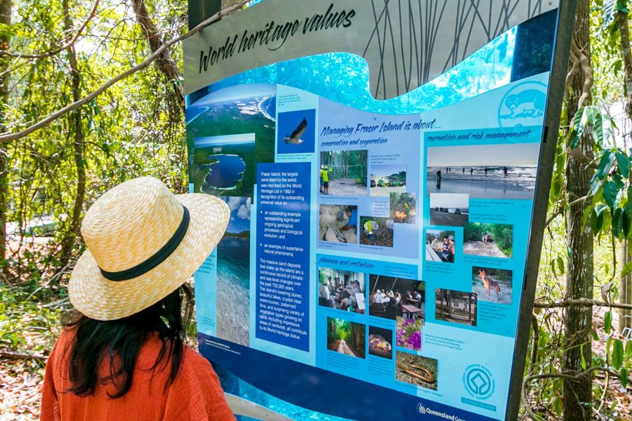 K'gari Information Information Sign in the forest on K'gari
