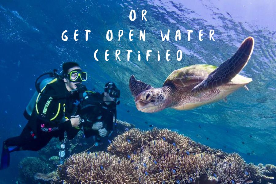 Open Water Courses Open Water Courses Whitsundays