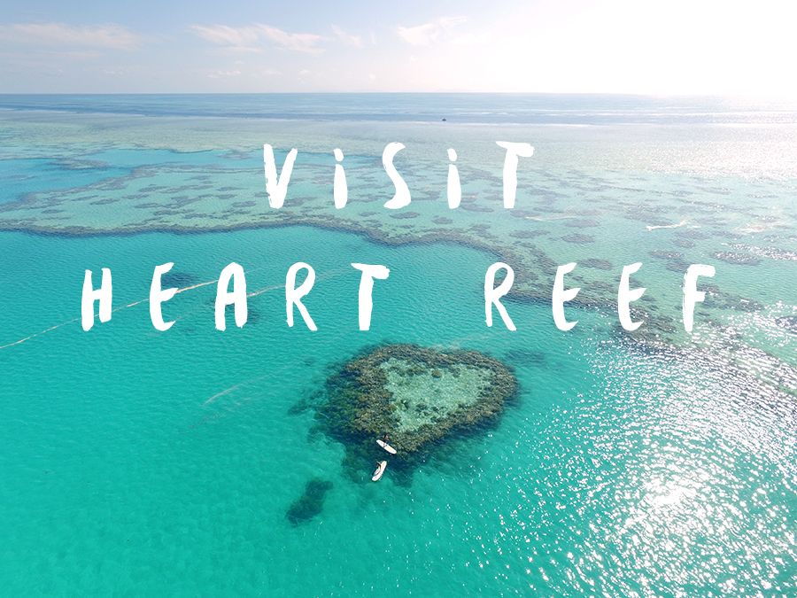 Heart Reef Whitsundays Visit Heart Reef