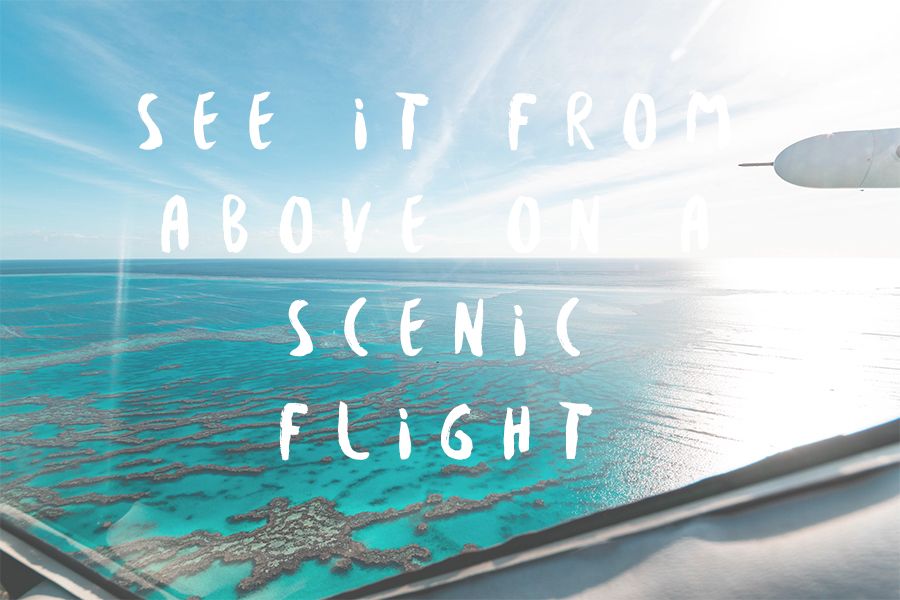 Scenic flights great barrier reef