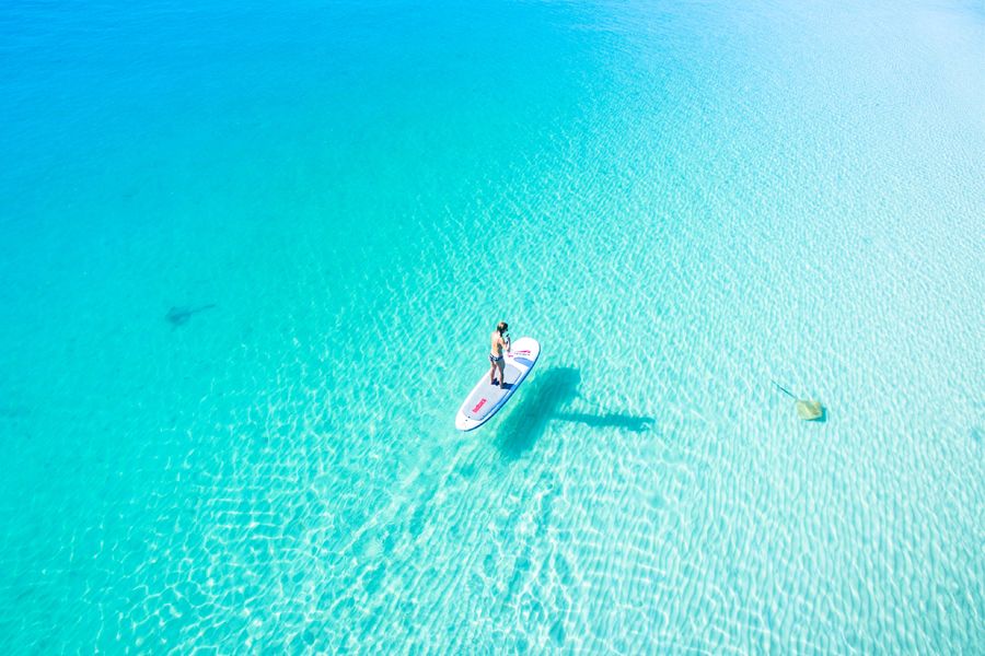 paddleboarding over the water at whitehaven beach