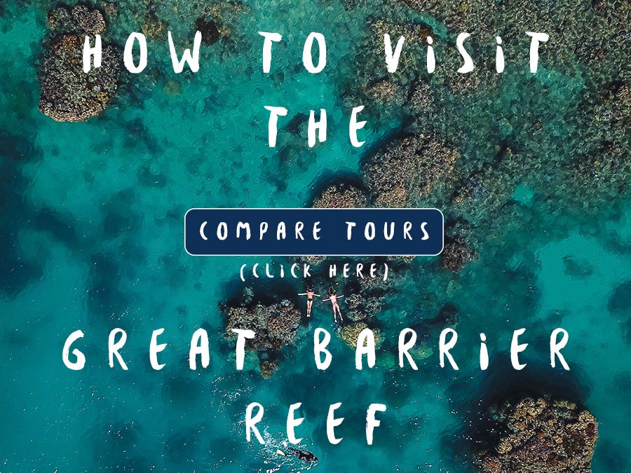 Compare Tour Options How to see the reef