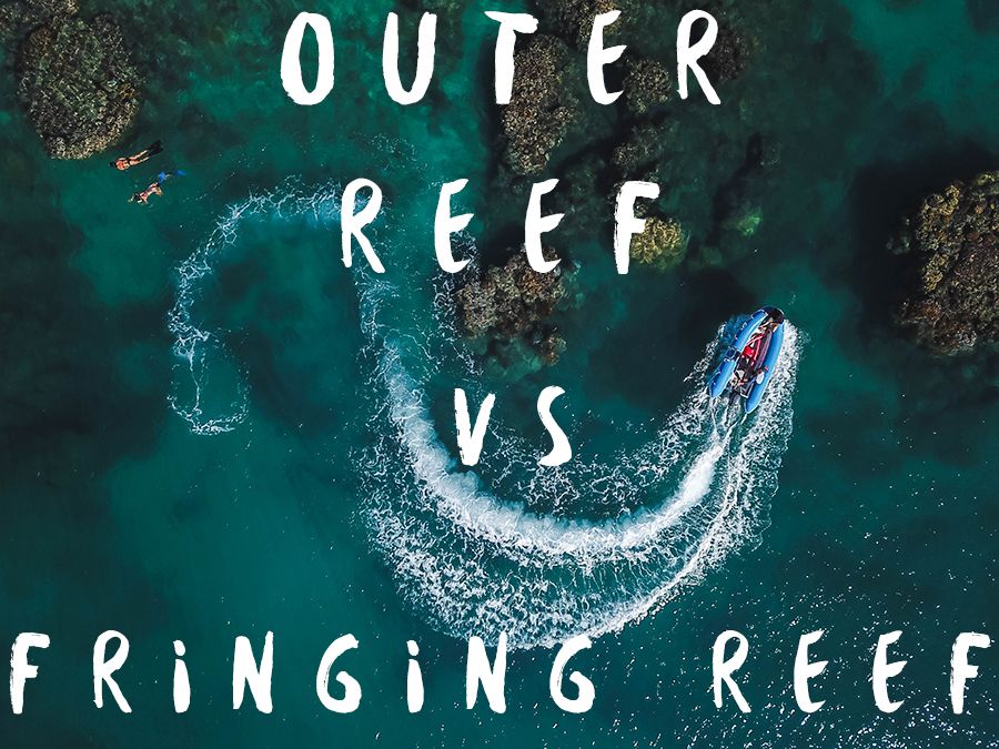 Outer Reef Vs Fringing Reef Outer Reef Vs Fringing Reef