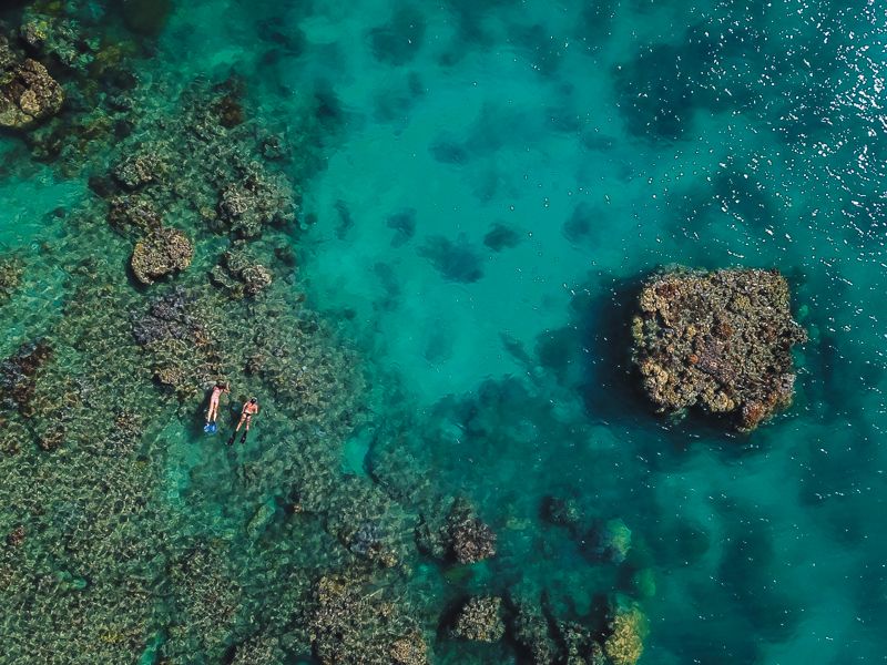 Different Types of Reefs