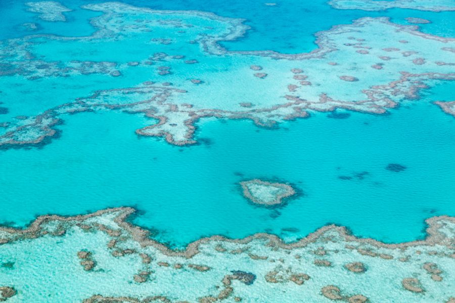 Heart Reef Whitsundays