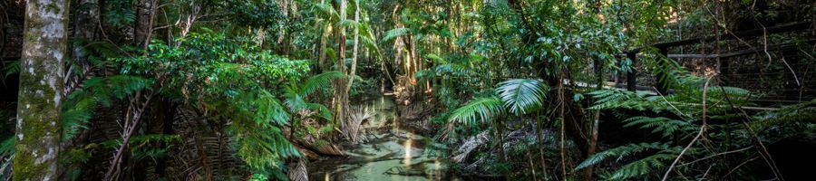 central station, fraser island