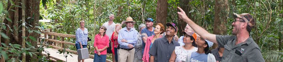 tour group walking through a rainforest track