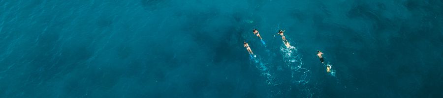 Snorkel Cairns four people snorkelling in the ocean in australia