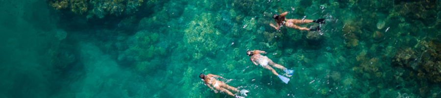 Whitsundays Adventurer Snorkelling