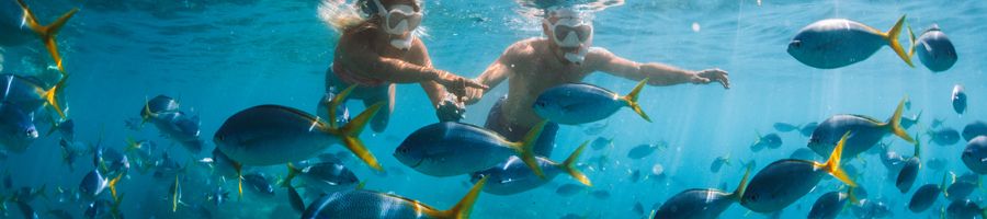 Snorkelling Whitsundays couple snorkelling with tropical fish in the Whitsundays