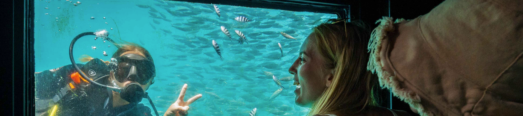 Underwater observatory Reefsleep Underwater observatory Reefsleep