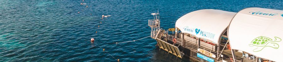 Reefworld Pontoon out on the water