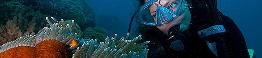 scuba diving in reefs