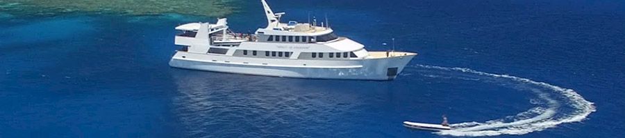 Spirit of Freedom ship