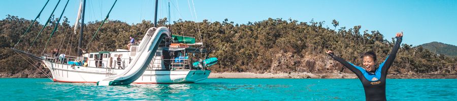 New Horizon New Horizon