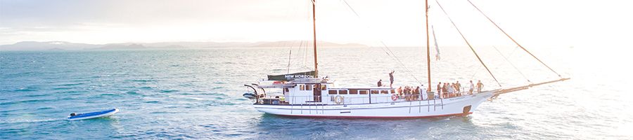 New Horizon New Horizon