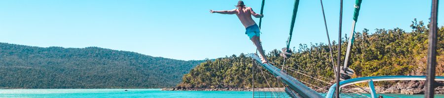 New Horizon New Horizon