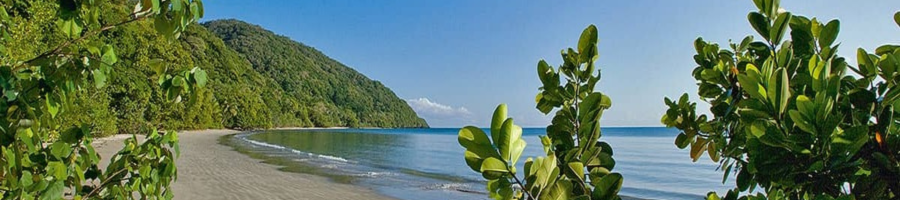 Cape Tribulation Beach Scenic Lookout 