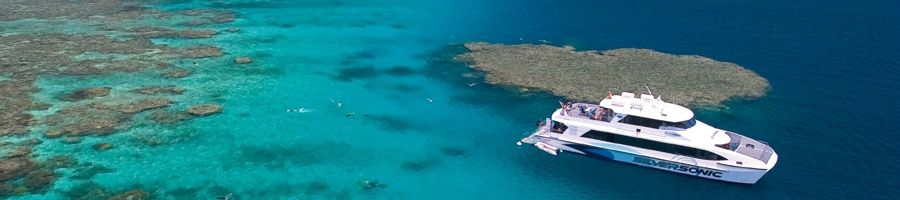 Silverswift on the great barrier reef near Cairns