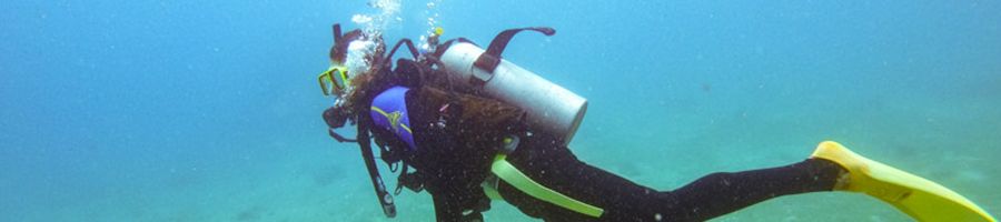 scuba diver swimming in the great barrier reef