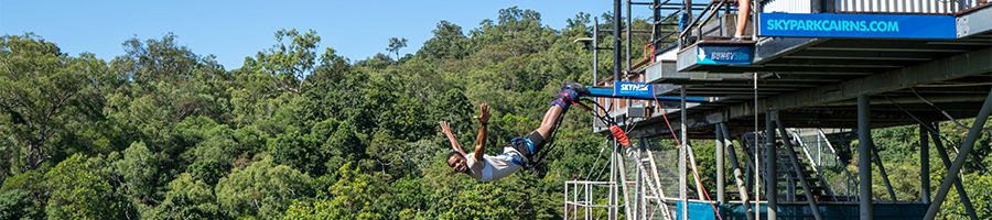 person bungy jumping near the rainforest in cairns