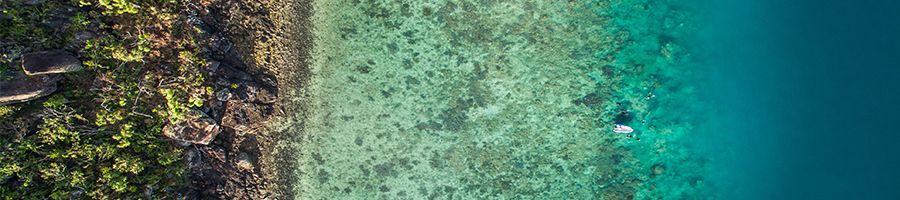 Snorkelling aerial reef view