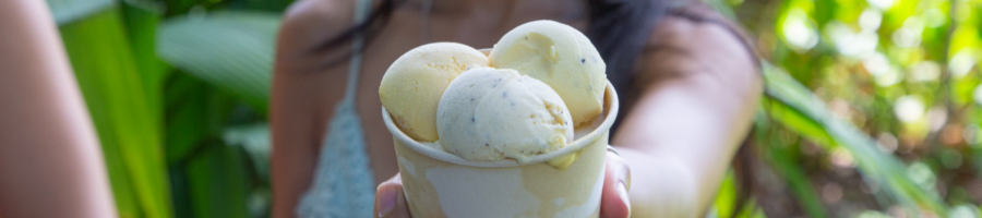 Daintree Ice Cream in a cup at a tropical farm