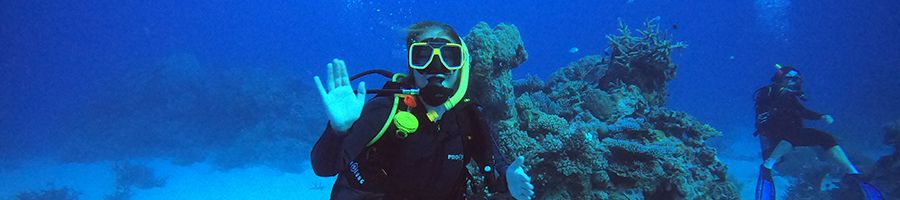 Scuba diving in the Great Barrier Reef