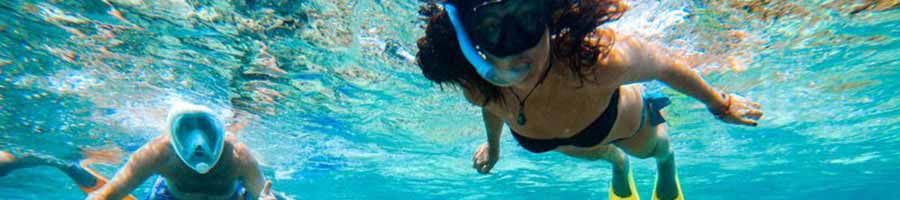 Snorkeling people snorkeling underwater