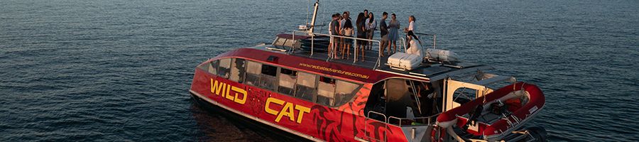 Sunset Wildcat Wildcat boat on the water at sunset