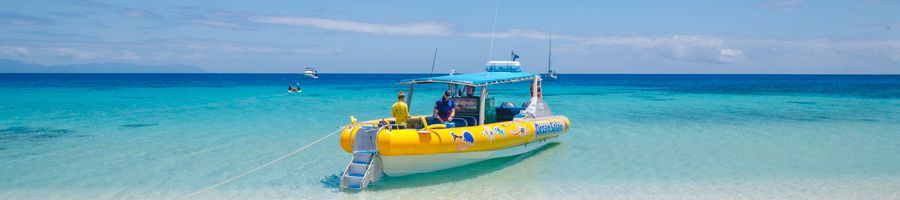 Ocean Safari boat anchored by the shore