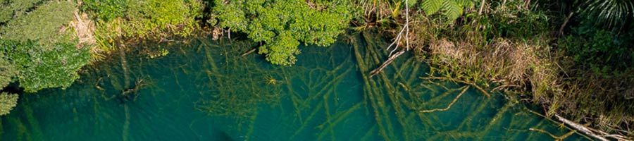 aerial view of Lake Eacham