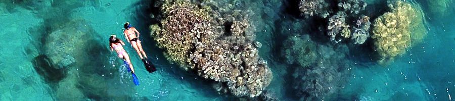 Two people snorkelling amongst fringing reefs onboard Whitsunday Bullet Day Tour Two people snorkelling amongst fringing reefs onboard Whitsunday Bullet Day Tour