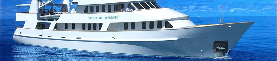 Spirit of Freedom Ship