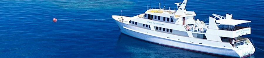 Spirit of Freedom Ship at sea